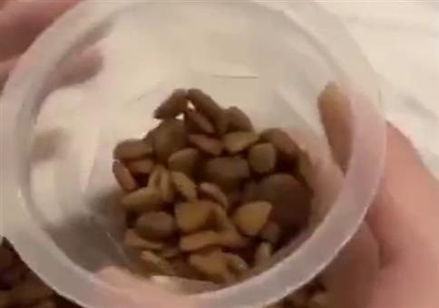 Was der Hund von seiner Diät hält