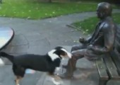 Hund spielt mit Statue