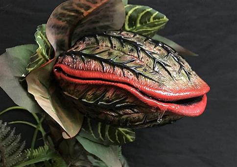 Wer kennt den Film dazu?