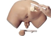 Prostatauntersuchungs-Simulator