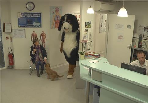 Animal Planet - Rémi Gaillard