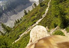 Fliegender Adler POV