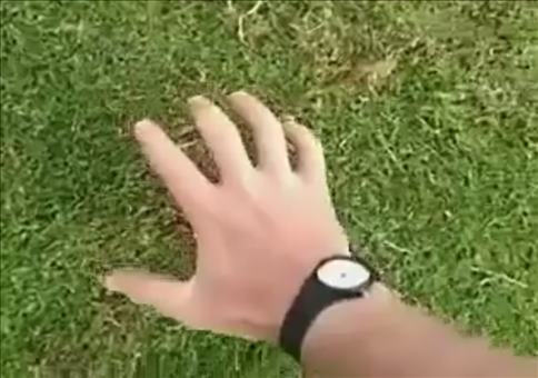 Wie fängt man einen Maulwurf?