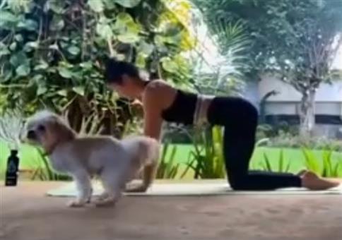 Wenn das Tier beim Yoga stört