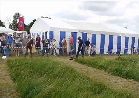 Sense gegen Motorsense