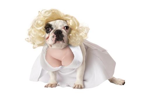 Marilyn Monroe Kostüm für Hunde