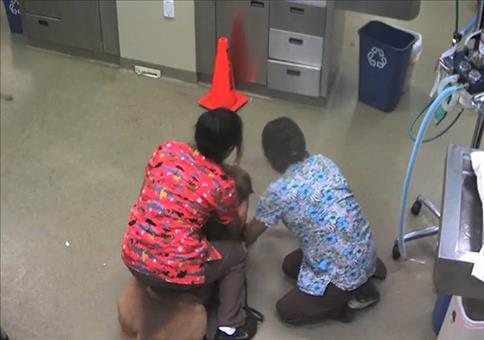 Riesenhund beim Tierarzt