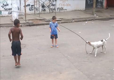 Hund beim Seilspringen