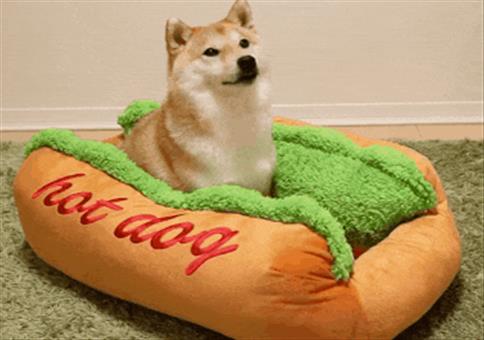 Hornoxe.com - Gifdump #267 - Animierter Picdump