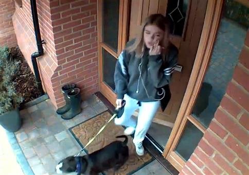 Schnell mal Gassi gehen und vergessen abzuschließen