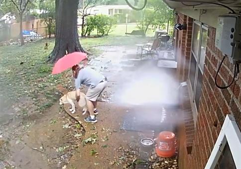 Das war knapp: Der Ast des Todes