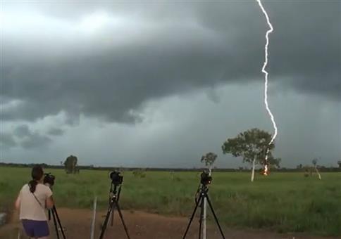 Blitzjäger auf der Jagd