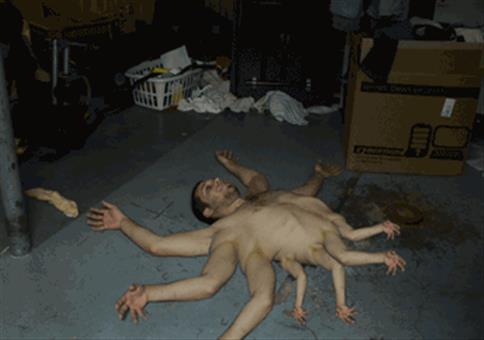 Hornoxe.com - Gifdump #205 - Animierter Picdump