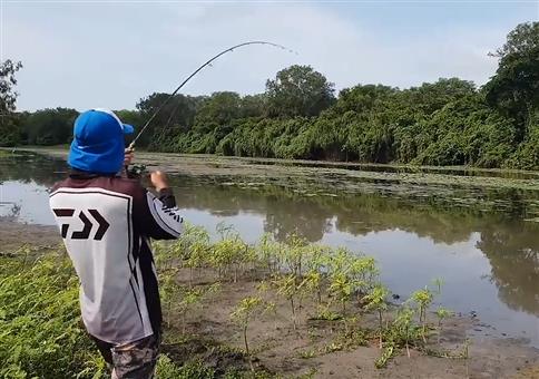 Gemütlich beim Fische fangen, als plötzlich..