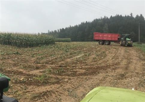 Das letzte Stück vom Feld noch... Überraschung!