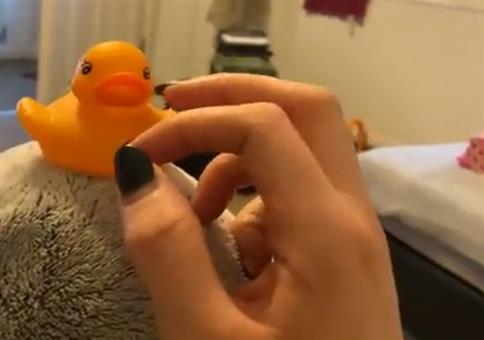 Es kann hier nur einen Vogel geben!