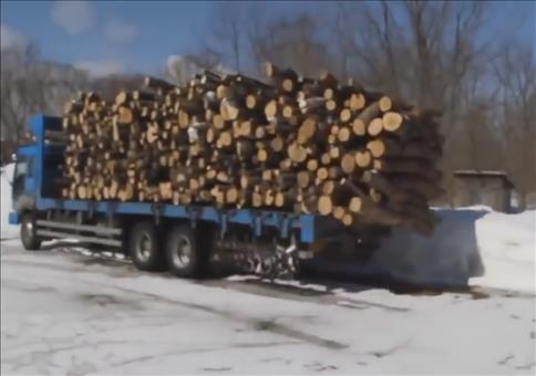 Holz abladen Like a Boss!