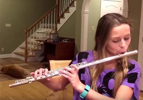 Hund von Flöte genervt