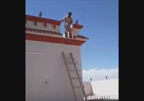 Leiter Trolling vom feinsten