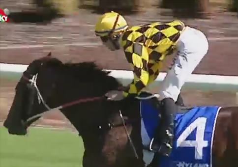 Pferderennen mit arschknappen Vorsprung