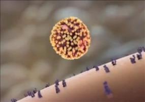 So befällt ein Virus den menschlichen Körper