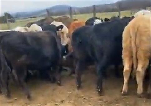 Nicht am, sondern im Büfett