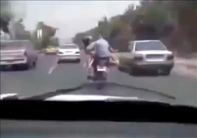 Tiertransport mal anders