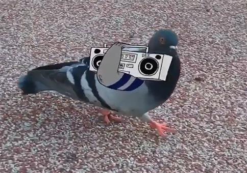 Klassiche Ghettotaube