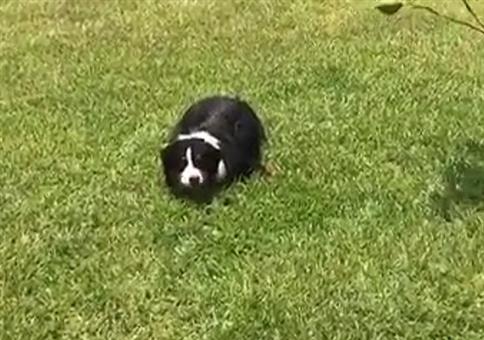 Kleine Abkühlung in der Mittagshitze