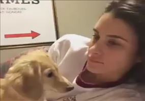 Frauchen soll jetzt mal die Backen halten