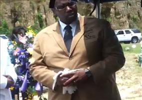 Wenn ich Flügel hätte wie dieser Vogel hier