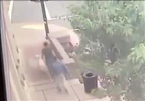 Hund rettet zwei Fußgängern das Leben