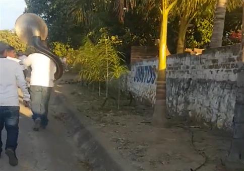 Tuba und Hundegebell im Einklang