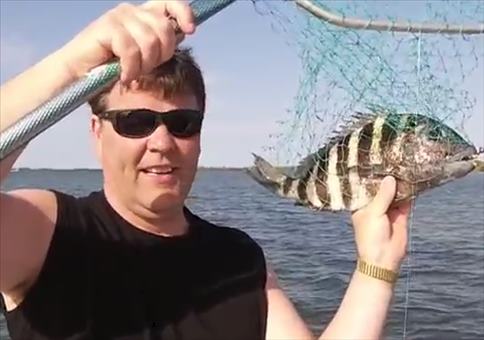 Fisch mit menschlichem Gebiss