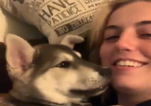 Verschmustes Hundilein