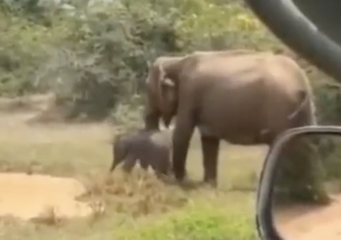 Da lauert was im Wasser