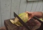 Kokosnuss aufschneiden in Trinidad und auf Hawaii