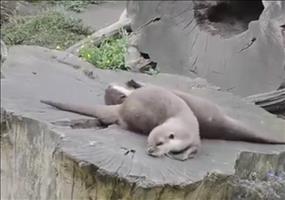 Otten zeigt uns seine Skills