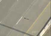 Entenfamilie überquert Autobahn