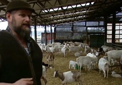 Der Ziegenbock Erdogan