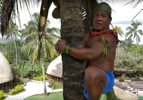 Wie klettert man richtig auf eine Palme?