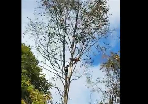 Wenn das Radrennen zur Nebensache wird