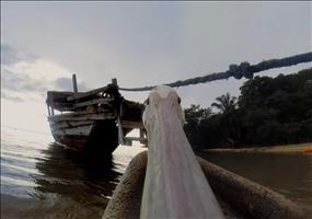 Pelikan lernt fliegen