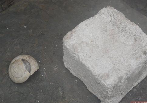 Primitive Technology: Kalkziegel