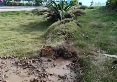 Wenn der Boden Durchfall hat