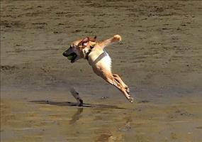 Panorama Fails Picdump