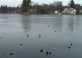 Zugefrorener See klingt wie eine Laserpistole