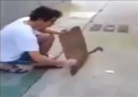 Hammer VS Handybatterie