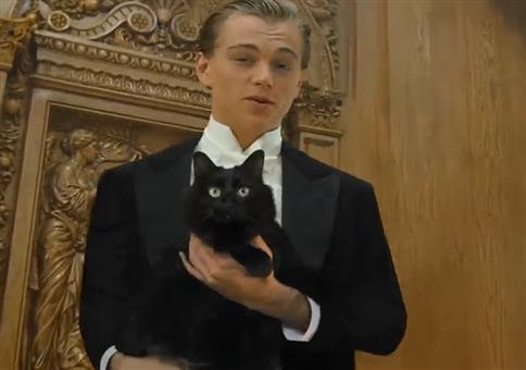 Titanic mit Katze