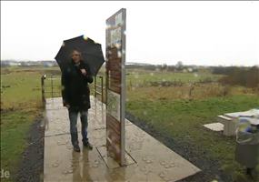 Realer Irrsinn: Das grüne C